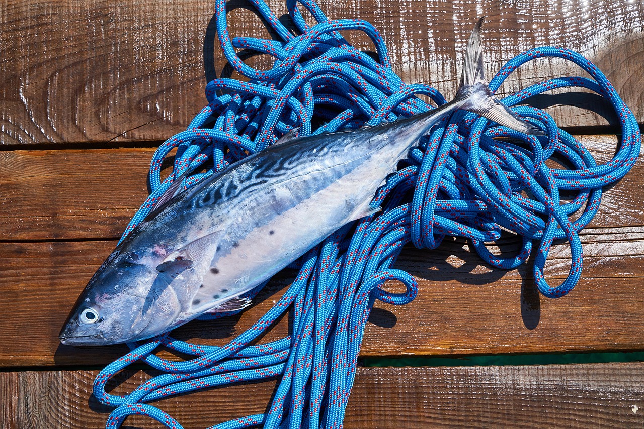 The Role of Technology in Modern Cuisine